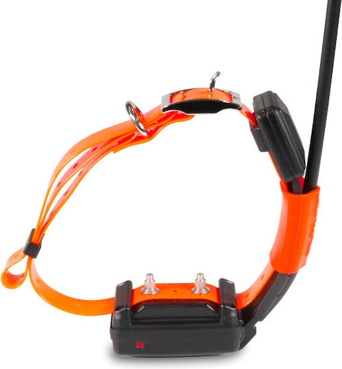 Dog Trace X25T Short Dog GPS Shock Collar with Range 20000m