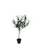 Plantă Artificială în Ghiveci Olive Green 65cm