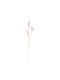 Ramură Decorativă Artificială Cozi de iepuraș Pink 53cm