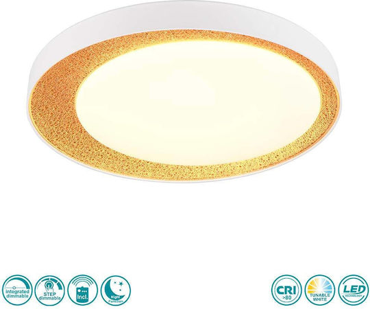 Trio Lighting Ceiling Light LED with Remote Control
