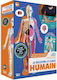Auzou The Human Body STEM Educational Game Knowledge for 6+ years old Years Old