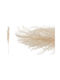 Bouquet of Artificial Flowers Pampas Grass Ecru 120cm 10pcs Paper Pack