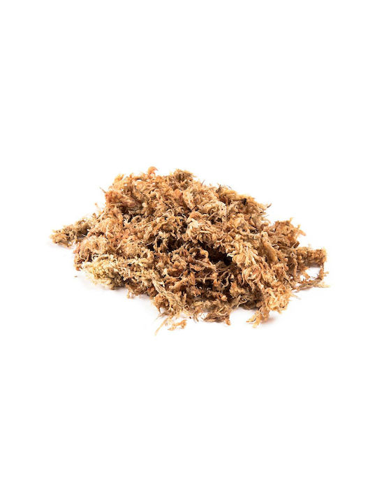 Sphagnum Moss Pack 100 Gr