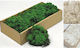 Moss 500g Εκρου 1 Τμχ