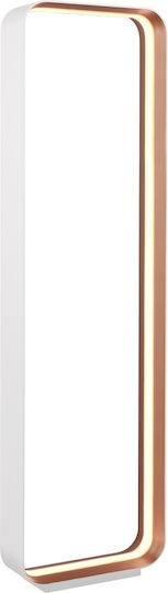 Cinque LED Floor Lamp with Natural White Light White