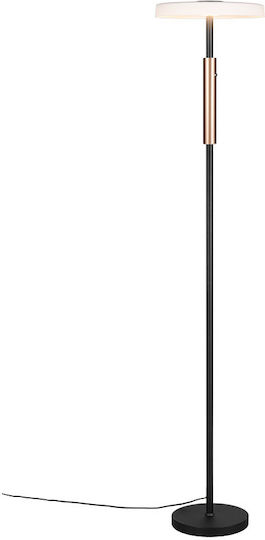 Trio Lighting Celeste LED Stehleuchte H160xB33cm. mit Warmweißem Licht 1750lm Braun
