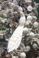 Due esse Peacock Бял