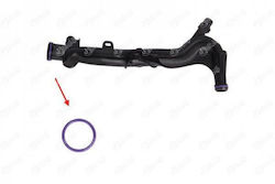Ibras Car Hose for Citroen C-Elysee Ibras Car Hose for Citroen C-Elysee