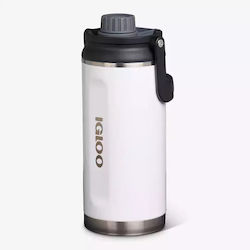 Igloo Igloo Stainless Steel / Plastic Tumbler w...
