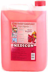 Homestyle Liquid General Use 4lt Homestyle Liquid General Use 4lt