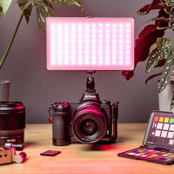 Newell RGB-W Rangha Max LED-Lampe