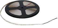 Adeleq LED Strip 24V 30m Type SMD2835