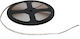 Adeleq Ταινία LED 24V 30m Τύπου SMD2835
