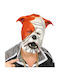 Bulldog Mask Male
