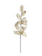 Frunze Champagne Kladiky & Margine Aurie 78cm