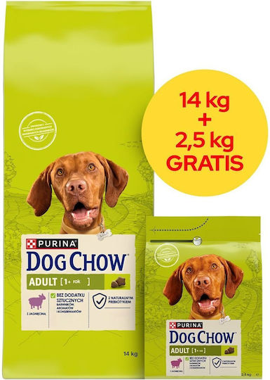 Dog Chow 16.5kg Dry Food for Adult Dogs with Lamb