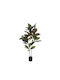 Arbore Artificial de Exterior Magnolia Green 120cm Marhome