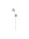 Pink Rose 62cm
