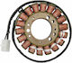 Ricks Motorsport Electric Spulen Motorrad 21-005