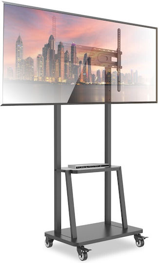 Techly ICA-TR3390 Βάση Τηλεόρασης Δαπέδου έως 70"