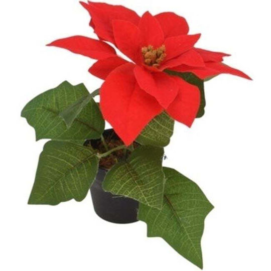 Koopman Crăciun Decorativ Crăciuniță Lungime 19cm.