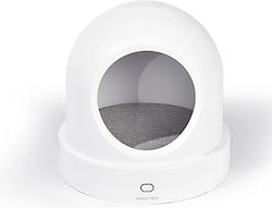 Pawgether Nest