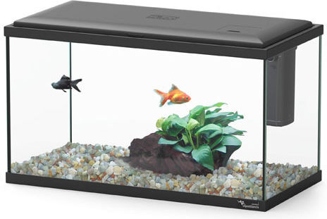 Aquatlantis London Fish Aquarium Capacity 13lt with Lighting, Filter and 35x18x26.5cm Black