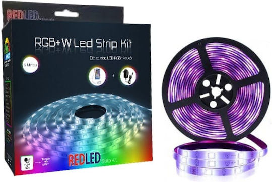 Redled LED-Streifen 12V RGB Licht 5m Typ SMD5050