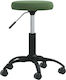 vidaXL Medical Stool Green 3085741