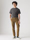 Xx Hose Chino Camel