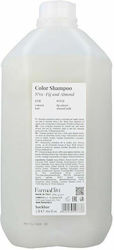 Farmavita Black No 01 Fig & Almond Solid Shampoos 1000ml Farmavita Black No 01 Fig & Almond Solid Shampoos 1000ml