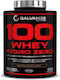 Galvanize Nutrition 100 Whey Hydro Zero Protein Whey with Flavor Chocolate 2kg