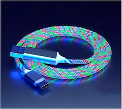 Panora USB 2.0 USB-C male - USB-A 1m (13847)