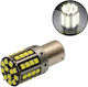 Car Lamp Canbus LED 6000K Cold White 12-24V 19W