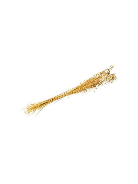 Dried Flax 50g – 60cm Beauty Home