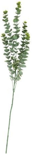 Μπουκετο Ευκαλυπτος 83 Cm Beauty Home