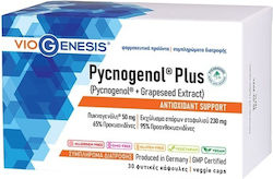 Viogenesis Pycnogenol Plus 30 Φυτικές Κάψουλες Viogenesis Pycnogenol Plus 30 Φυτικές Κάψουλες