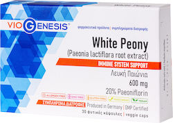 Viogenesis White Peony 600mg 30 Vegetable Capsules