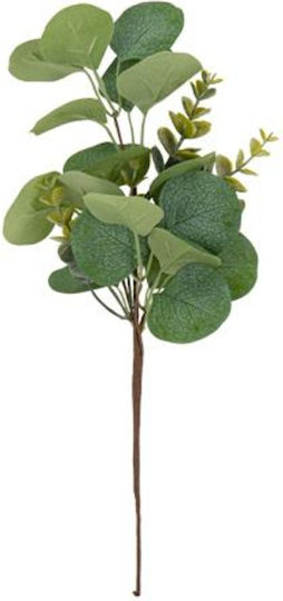 Eucalyptus 35 Cm Beauty Home