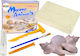Lean Toys Lernspiel Wissen