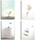 Next Spiral Notebook Ruled A4 105 Sheets 3 Subjects 1pcs (Μiscellaneous Designs/Colors)