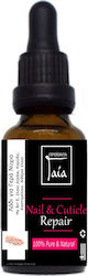 Gaia Products Gaia Products Nail Strengthening Treatment with Vitamins 10ml Gaia Products Gaia Products Nail Strengthening Treatment with Vitamins 10ml