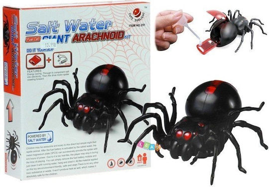 Educational Game Knowledge for 4-6 Years Old