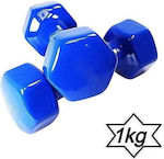 Vinyl Dumbbell 1 x 1kg