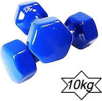 Vinyl Dumbbell 1 x 10kg