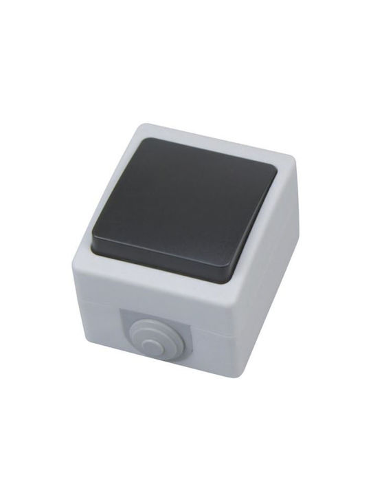 Horoz Electric Lumină de exterior montată pe perete IP54