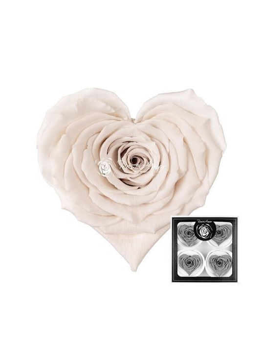 Preserved Roses Corazon Bella White 04 4 Pcs