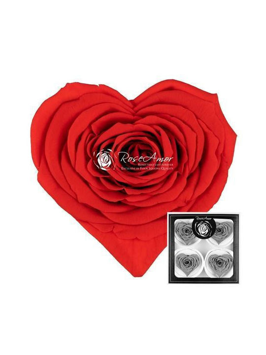 Preserved Roses Corazon Bella Orange 03 4 Pieces
