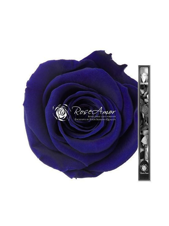 Konservierte Rosen 70cm Stiel Blau 03