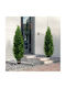 Set of 2 Artificial Cedar Trees 5' Vevor Indoor Outdoor Decoration UV Xsrgxjs60ycavomhcv0